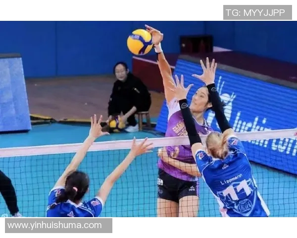 深度对话赵芳排球人生的奋斗与梦想探索之旅