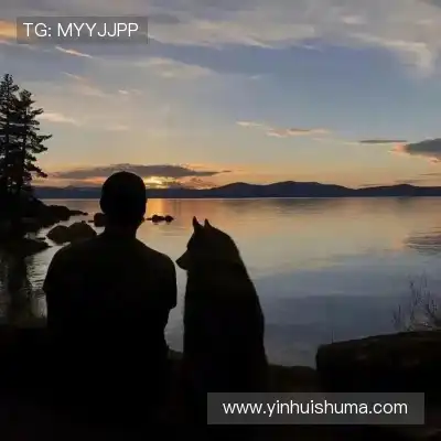 窦芸昀